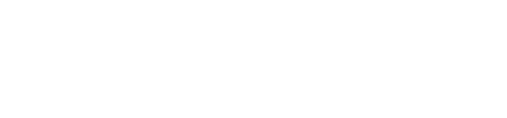 Immergic